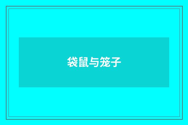 袋鼠与笼子