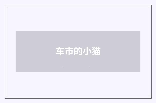 车市的小猫
