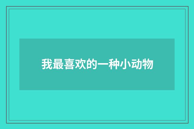 我最喜欢的一种小动物