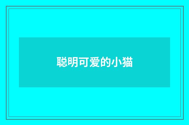 聪明可爱的小猫