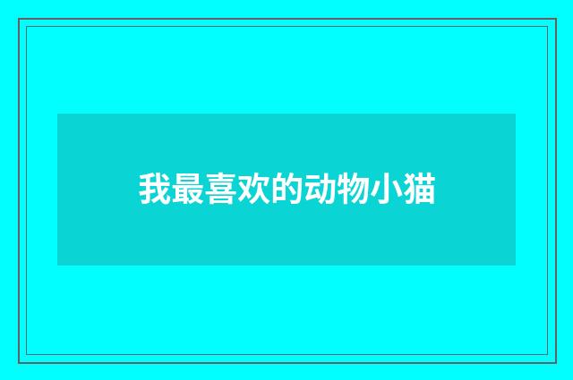我最喜欢的动物小猫