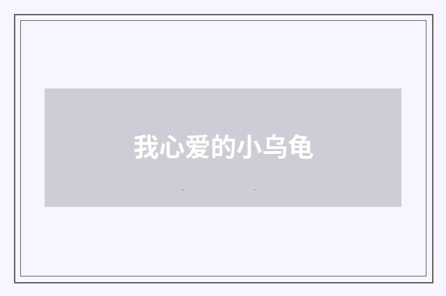 我心爱的小乌龟