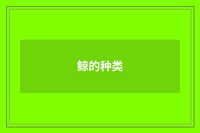 鲸的种类