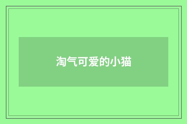 淘气可爱的小猫