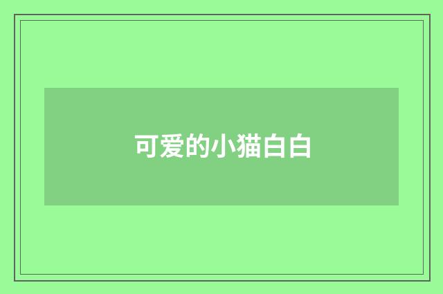 可爱的小猫白白