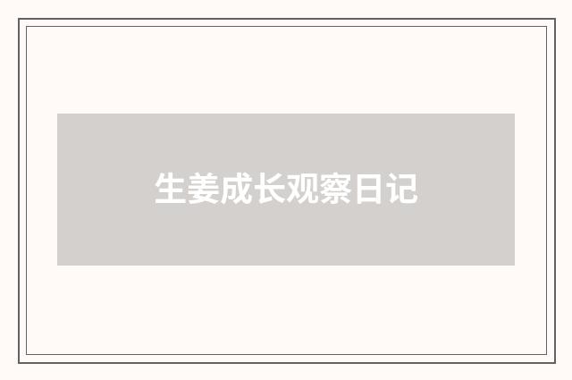 生姜成长观察日记