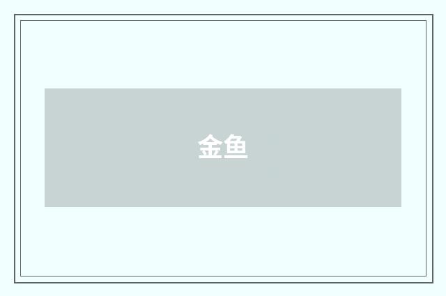 金鱼