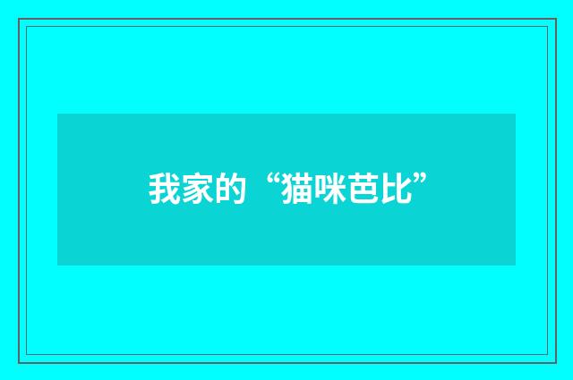我家的“猫咪芭比”