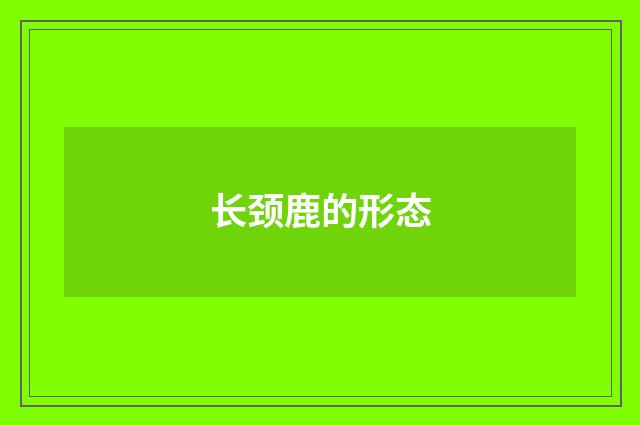 长颈鹿的形态