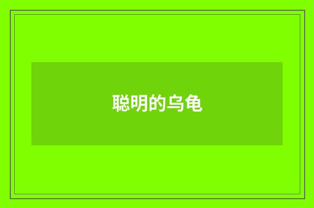 聪明的乌龟