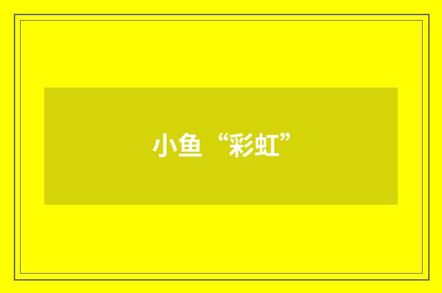 小鱼“彩虹”
