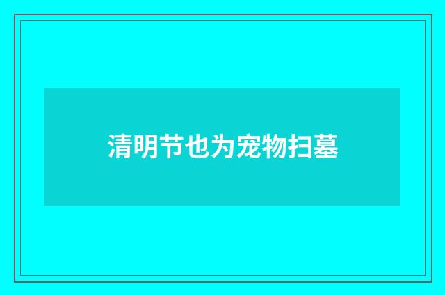 清明节也为宠物扫墓