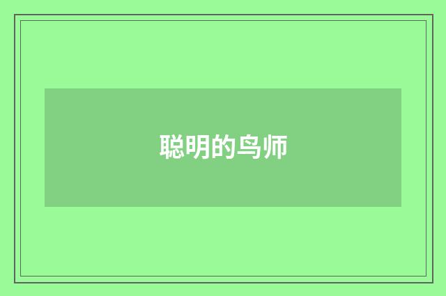 聪明的鸟师