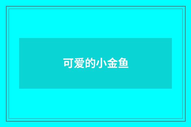 可爱的小金鱼