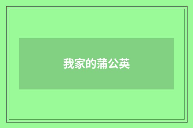 我家的蒲公英