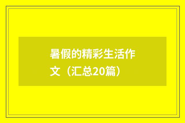 暑假的精彩生活作文（汇总20篇）