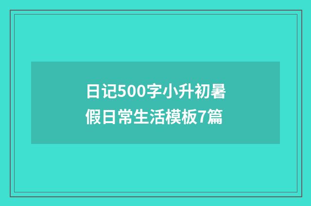日记500字小升初暑假日常生活模板7篇