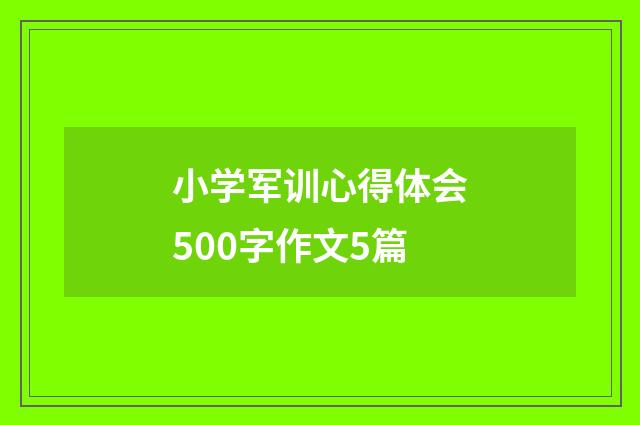 小学军训心得体会500字作文5篇