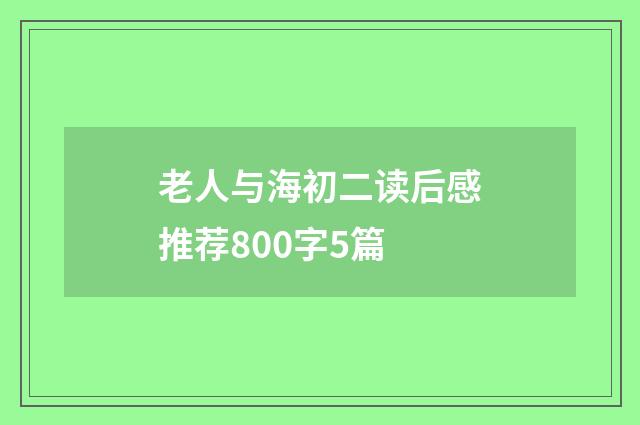 老人与海初二读后感推荐800字5篇