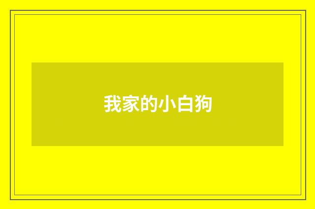我家的小白狗