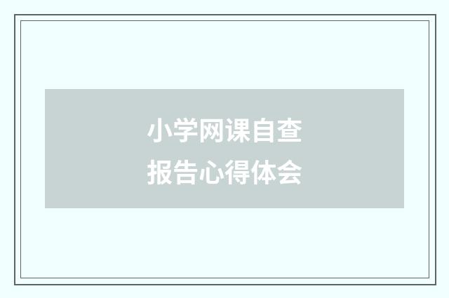 小学网课自查报告心得体会