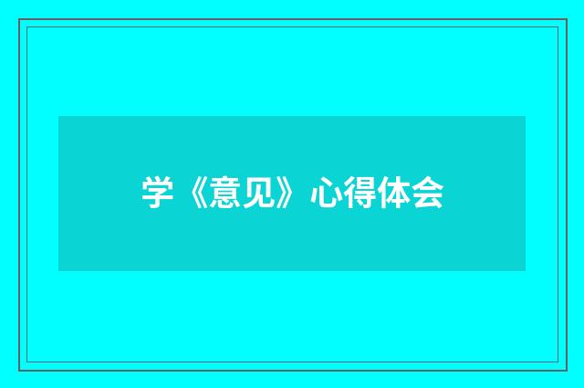 学《意见》心得体会