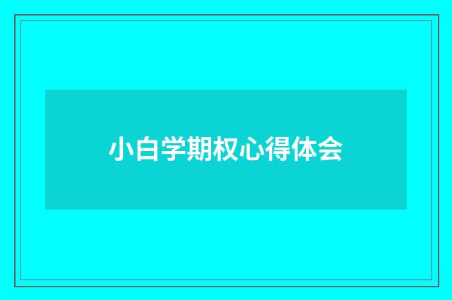 小白学期权心得体会