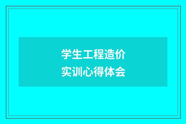 学生工程造价实训心得体会
