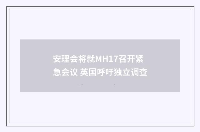 安理会将就MH17召开紧急会议 英国呼吁独立调查