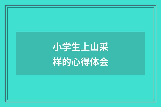 小学生上山采样的心得体会