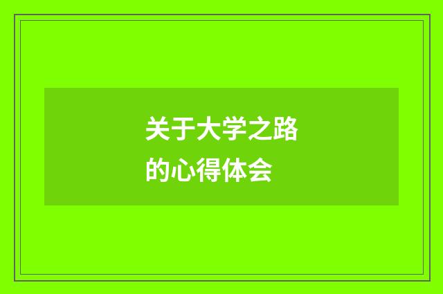 关于大学之路的心得体会