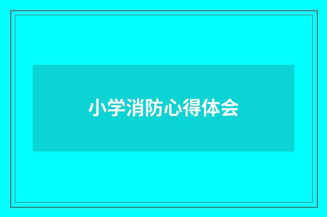 小学消防心得体会