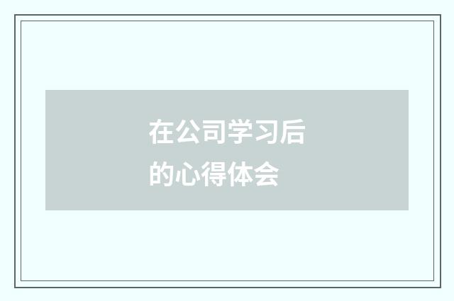 在公司学习后的心得体会
