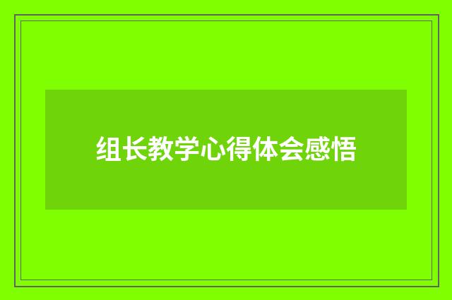 组长教学心得体会感悟