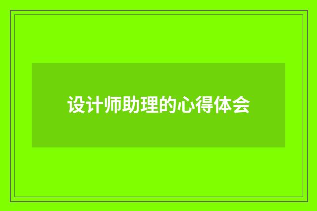 设计师助理的心得体会