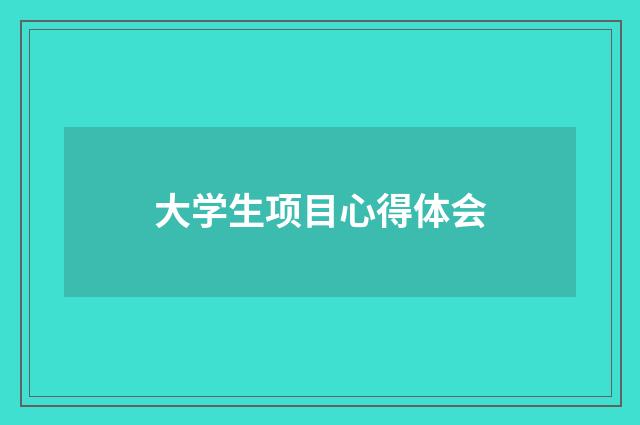 大学生项目心得体会