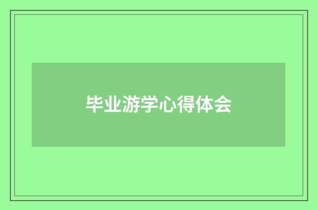 毕业游学心得体会