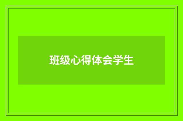 班级心得体会学生