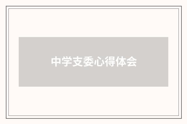 中学支委心得体会