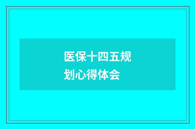 医保十四五规划心得体会