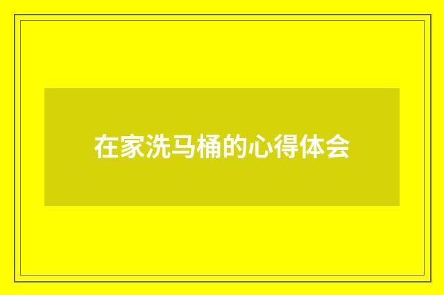 在家洗马桶的心得体会