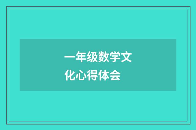 一年级数学文化心得体会