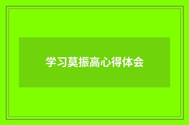 学习莫振高心得体会