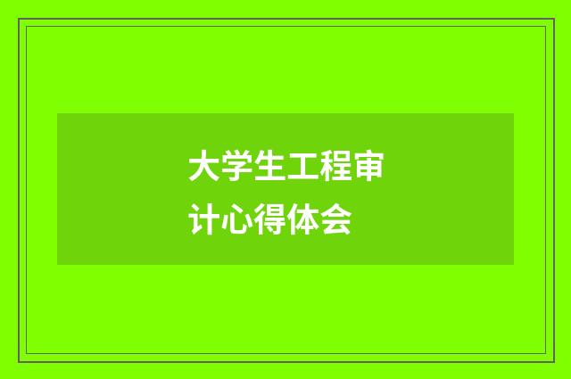 大学生工程审计心得体会