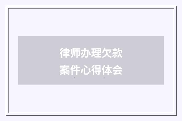 律师办理欠款案件心得体会