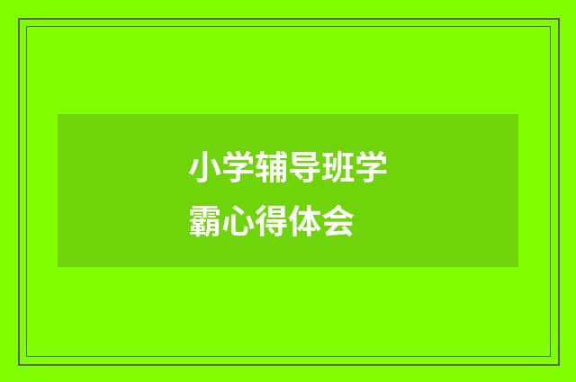 小学辅导班学霸心得体会
