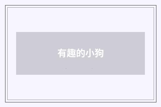有趣的小狗