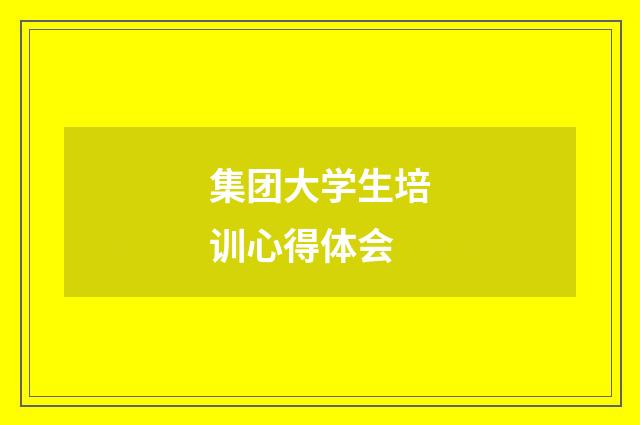 集团大学生培训心得体会