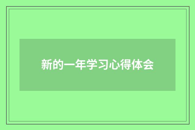 新的一年学习心得体会