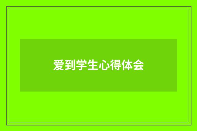 爱到学生心得体会